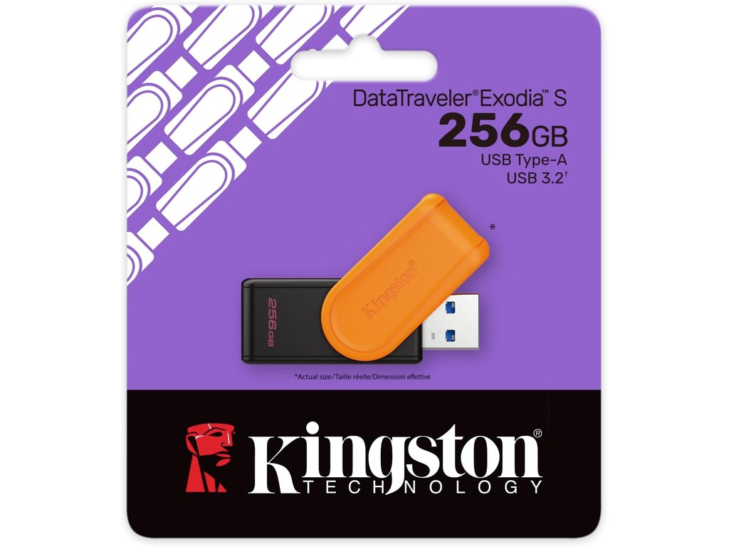 USB Flash 256 GB Kingston 3.2 Gen1 DTXS/256GB